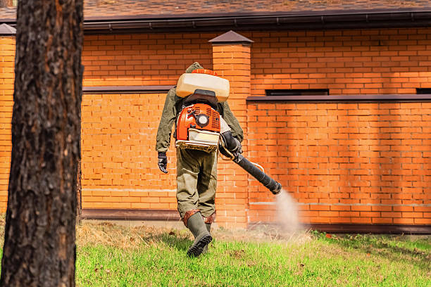 Trusted Cockroach Control service in Beach Haven, NJ - Nex Pest Control